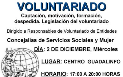 TALLER GESTIÓN DEL VOLUNTARIADO