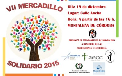 VII Mercadillo Solidario 2015